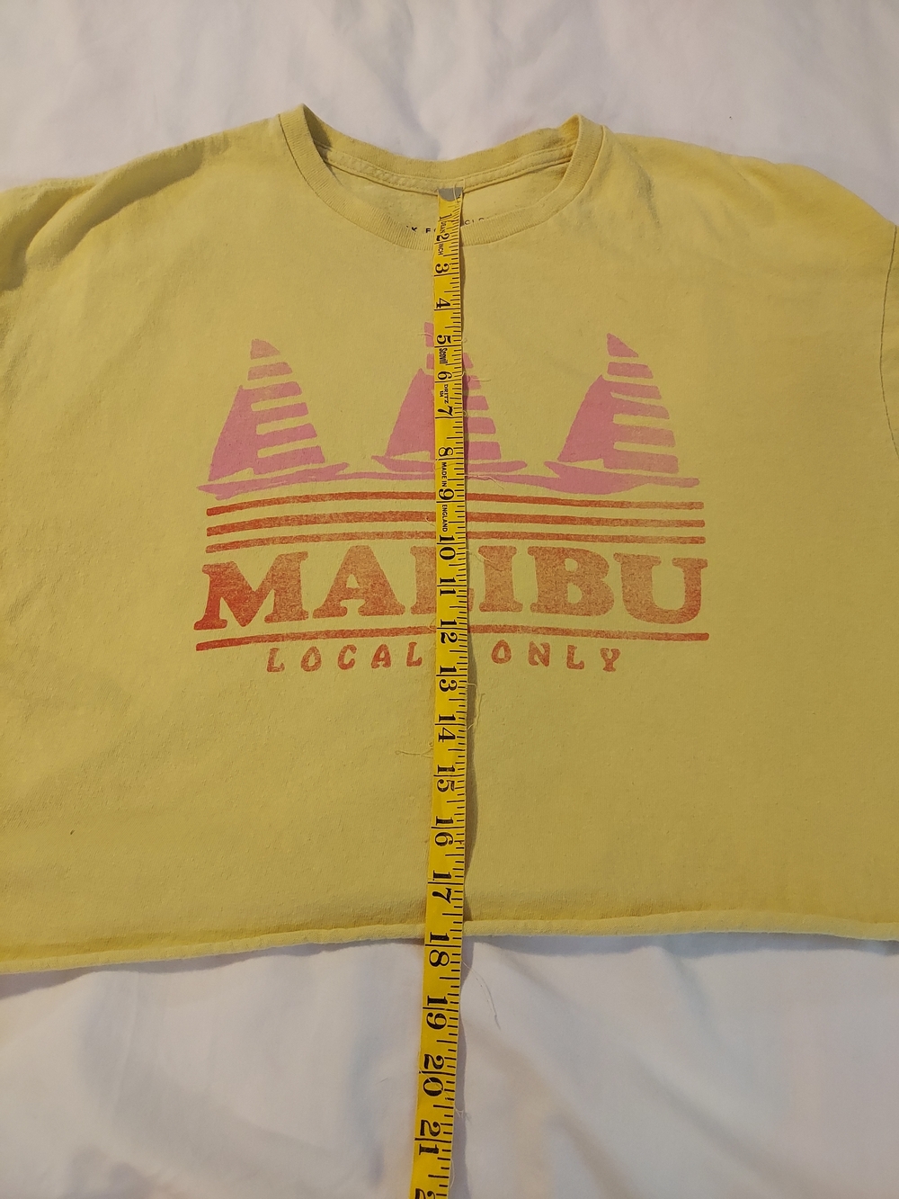 Junk Food Clothing | Malibu "Locals Only" Cropped Boxy Graphic Tee - Picture 5 of 6